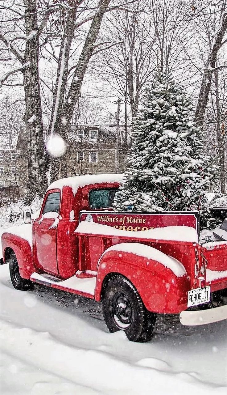 an old red truck parked in front of a tree covered in snow and surrounded by trees