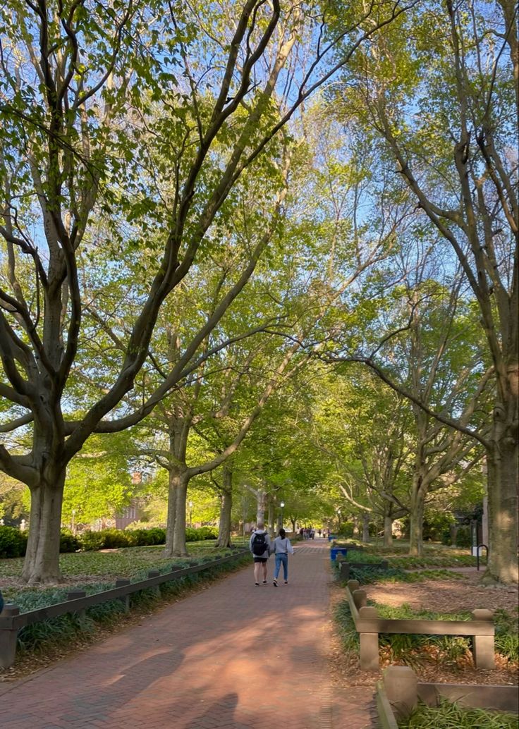 couple walks down tree lined path on a college campus Walking Around Campus Aesthetic, Canterwood Crest Aesthetic, Williams College Aesthetic, College Of William & Mary, Williams College, William And Mary Aesthetic, William And Mary College, College Campus Aesthetic, Campus Aesthetic