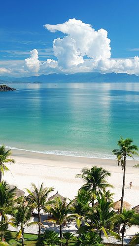 the beach is lined with palm trees and umbrellas