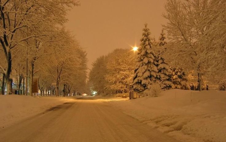 a snowy road with trees and street lights in the distance, at night or early evening