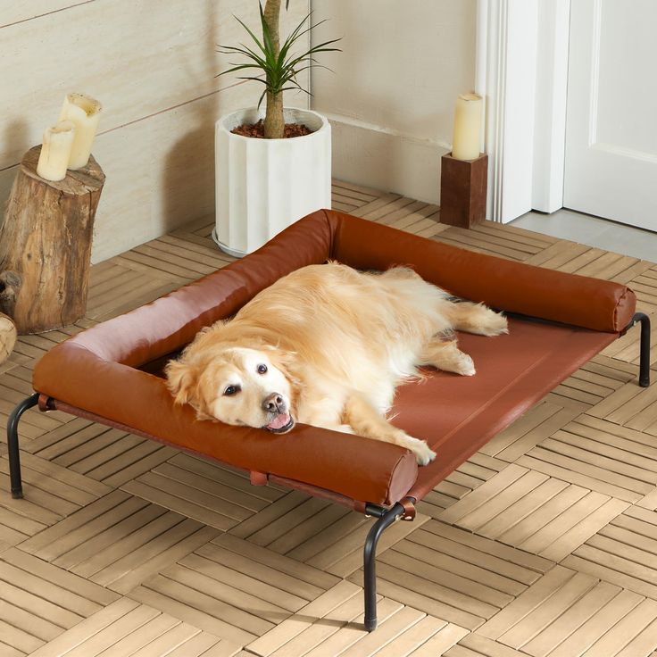 a golden retriever laying on top of a dog bed