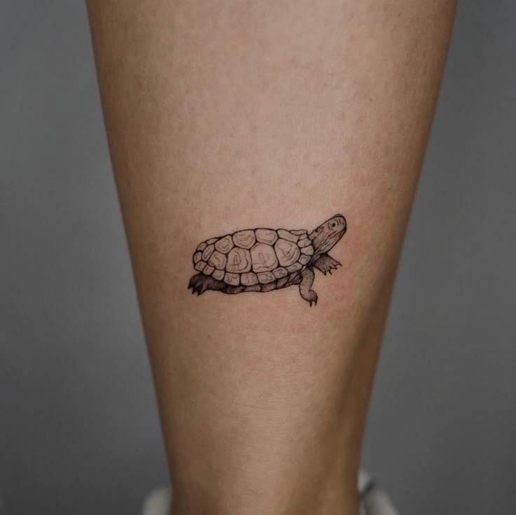 a small turtle tattoo on the right side of the leg, it is black and white