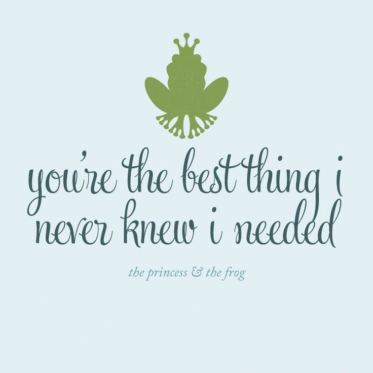 a frog with the words you're the best thing i never knew i needed