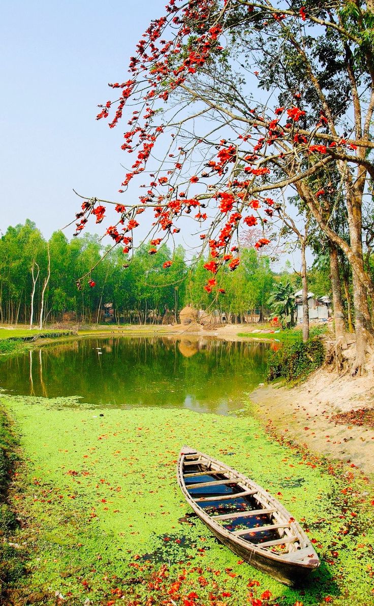 a small boat sitting on top of a lush green field next to a river filled with water