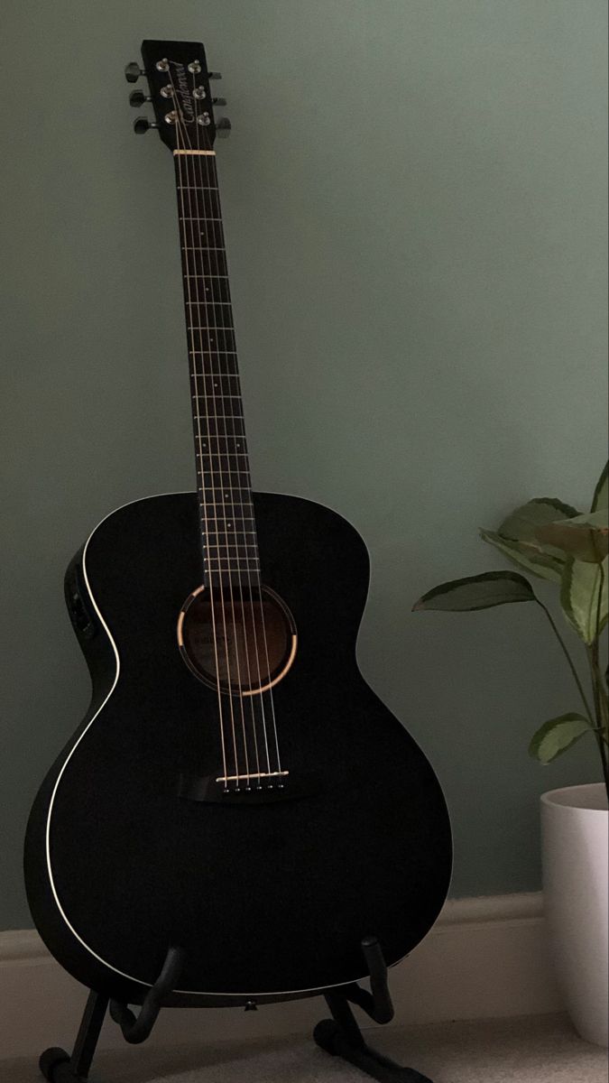 a black acoustic guitar sitting on top of a stand next to a potted plant