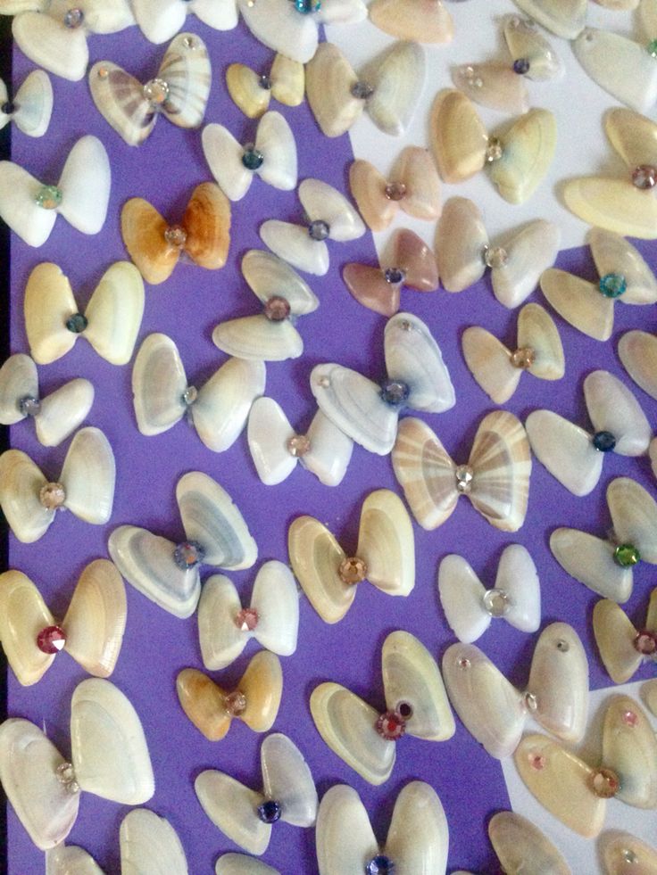 there are many seashells on the purple surface