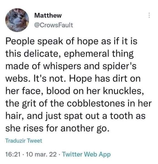 a tweet with the caption that reads people speak of hope as if it is this delicate, ephemeral thing made of whispers and spider's webs