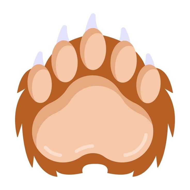 an animal's paw with spikes on it