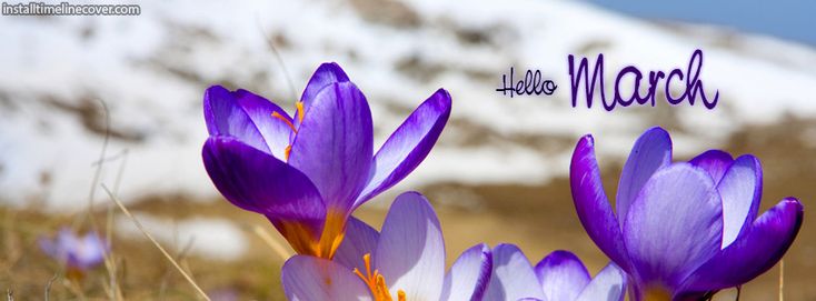 three purple flowers with the words hello march written on them in front of a snowy mountain