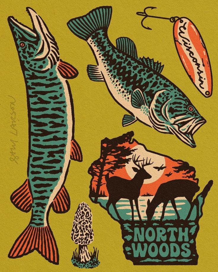 an image of fish and other wildlife on a yellow background with the words north woods written below it