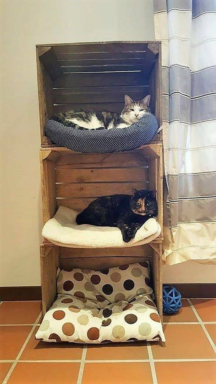 two cats laying on top of wooden crates in the middle of a tiled floored room