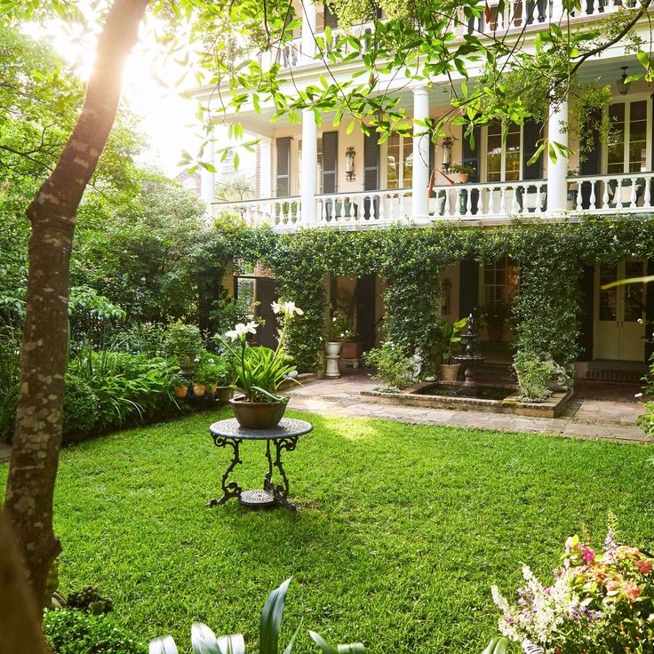 the back yard is full of greenery and potted plants