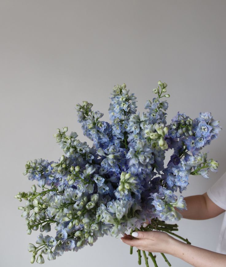 a woman holding a bouquet of blue flowers