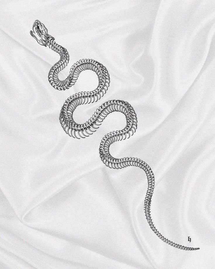 an image of a snake on a white sheet with the caption's name in russian