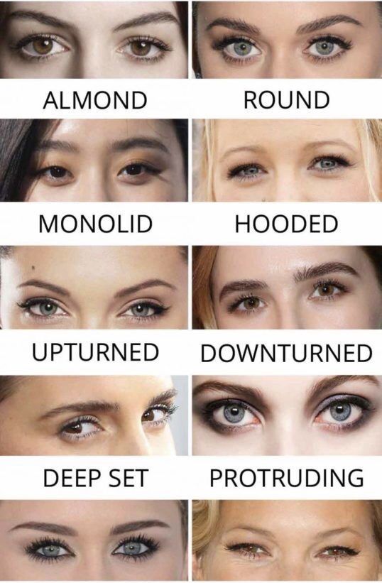 Eyeliner For Eye Shape, Makeup Knowledge, Eye Shape Chart, Character Tips, Make Up Yeux, Blush Tips, Different Types Of Eyes, Eye Shape Makeup, Abs Art