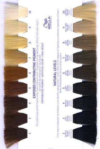 I am finding there is a lot of confusion, and mixed up definitions of the numbers involved in the Level System coding on the sides of boxes ... Hair Level Chart, Wella Colour Chart, Wella Formulas, Hair Color Wheel, Hair Chart, Dark Blond, Hair Levels, Color Correction Hair, Wella Hair Color