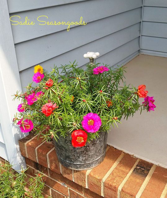 a bucket full of flowers sitting on the side of a house