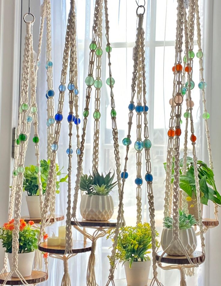 several potted plants are hanging from the windowsill