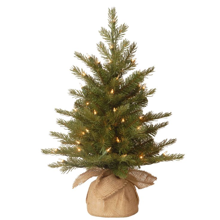 a small christmas tree in a burlock bag with lights on the top and bottom