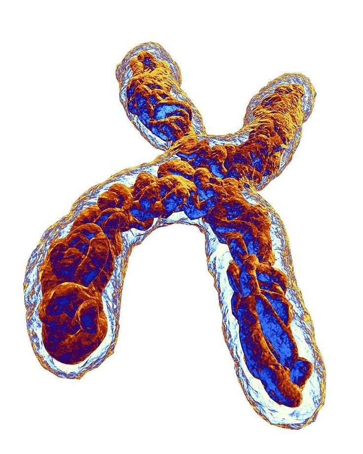 an x - ray image of a cross made up of blue and orange cells on a white background