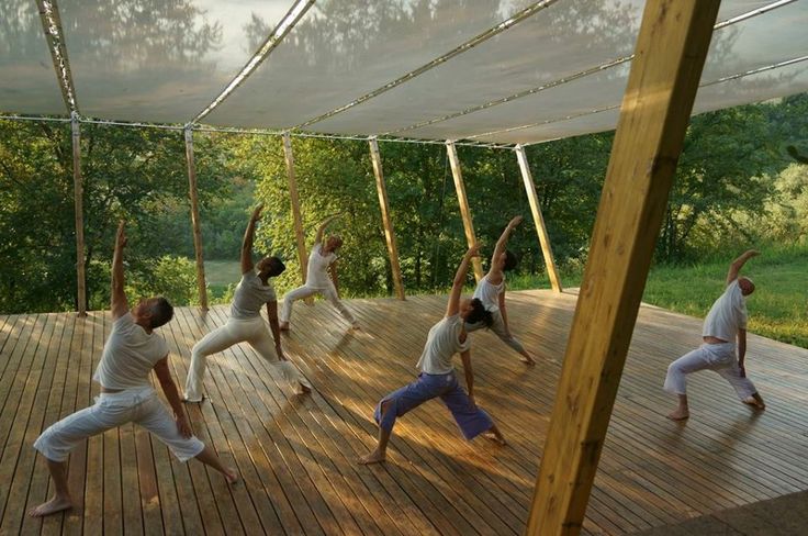 a group of people doing yoga on a wooden deck in front of some trees and grass