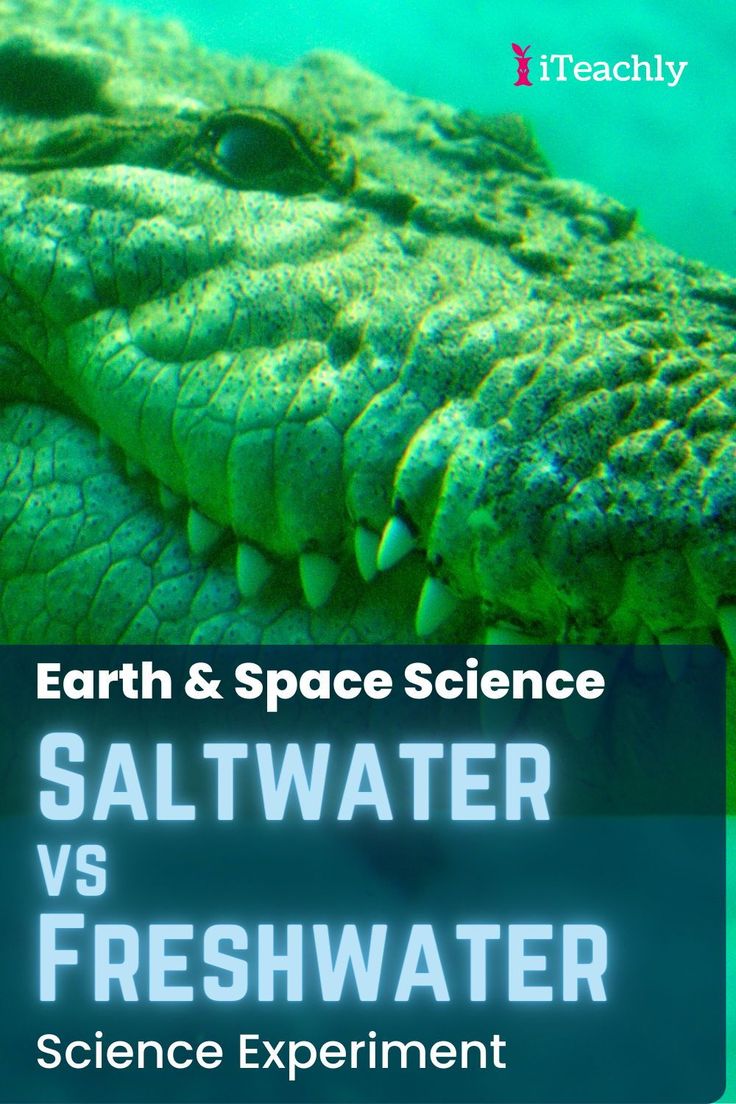 the cover of earth and space science saltwater vs fresh water science experiment, with an alligator