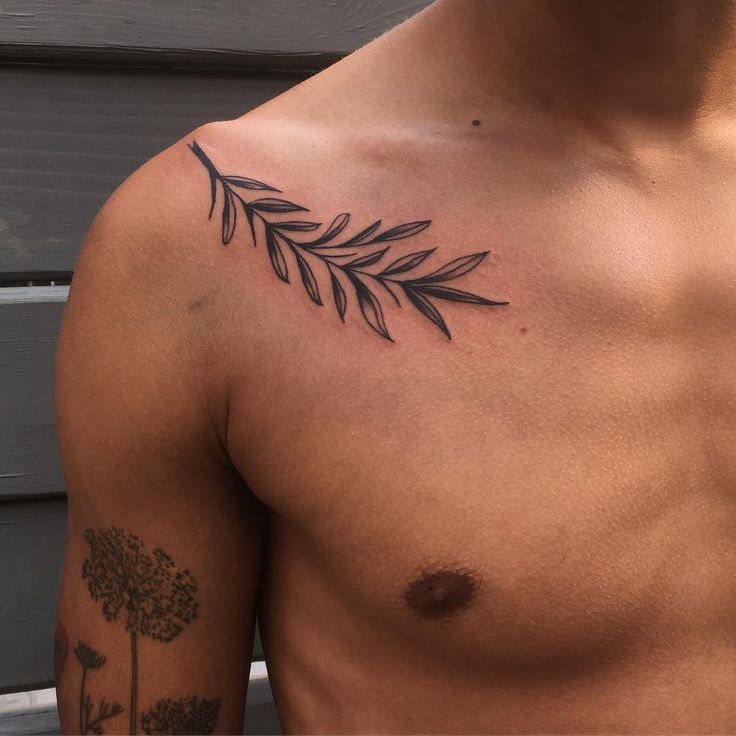 a man's chest with an olive branch tattoo on it