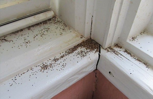 the corner of a window that has been gutted with dirt on it and is partially covered by plastic