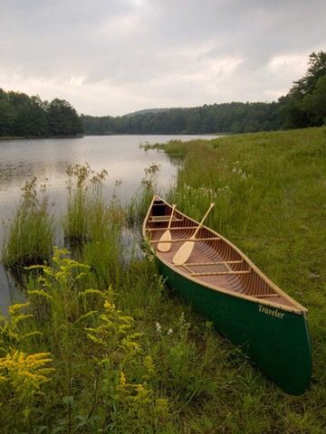 a green canoe sitting on the shore of a lake with tall grass and trees in the background