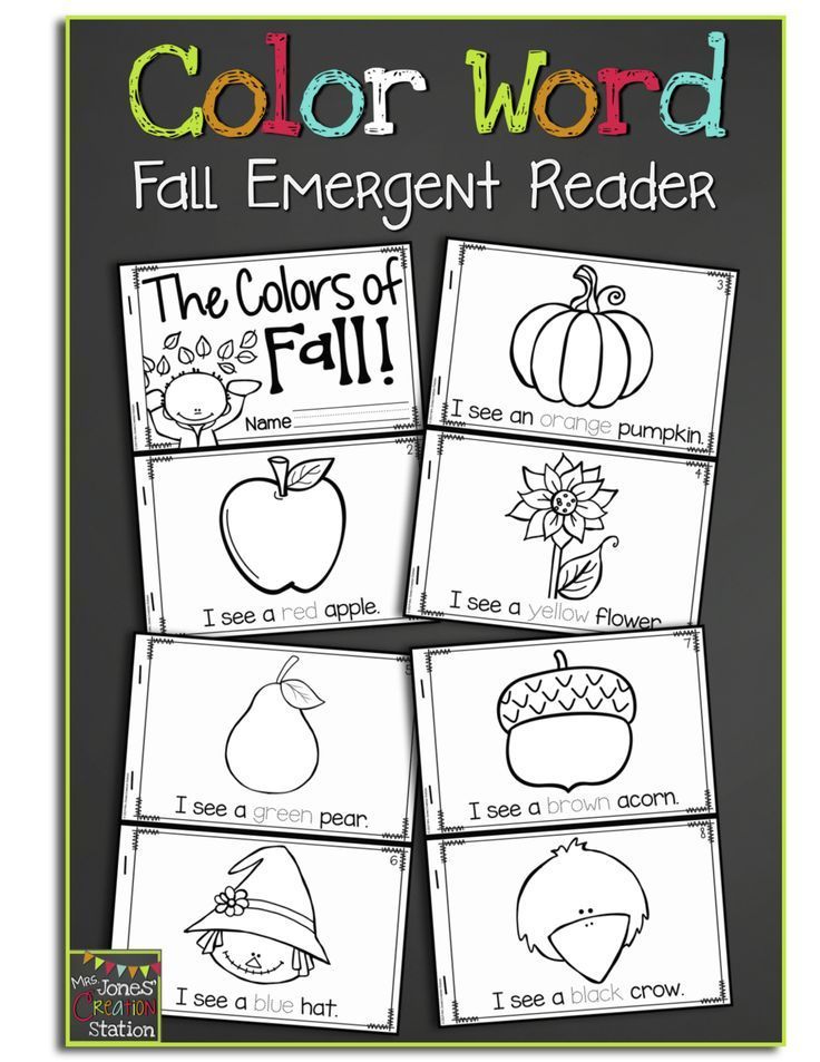 color word fall emerger reader with four different pictures and the words fall on it