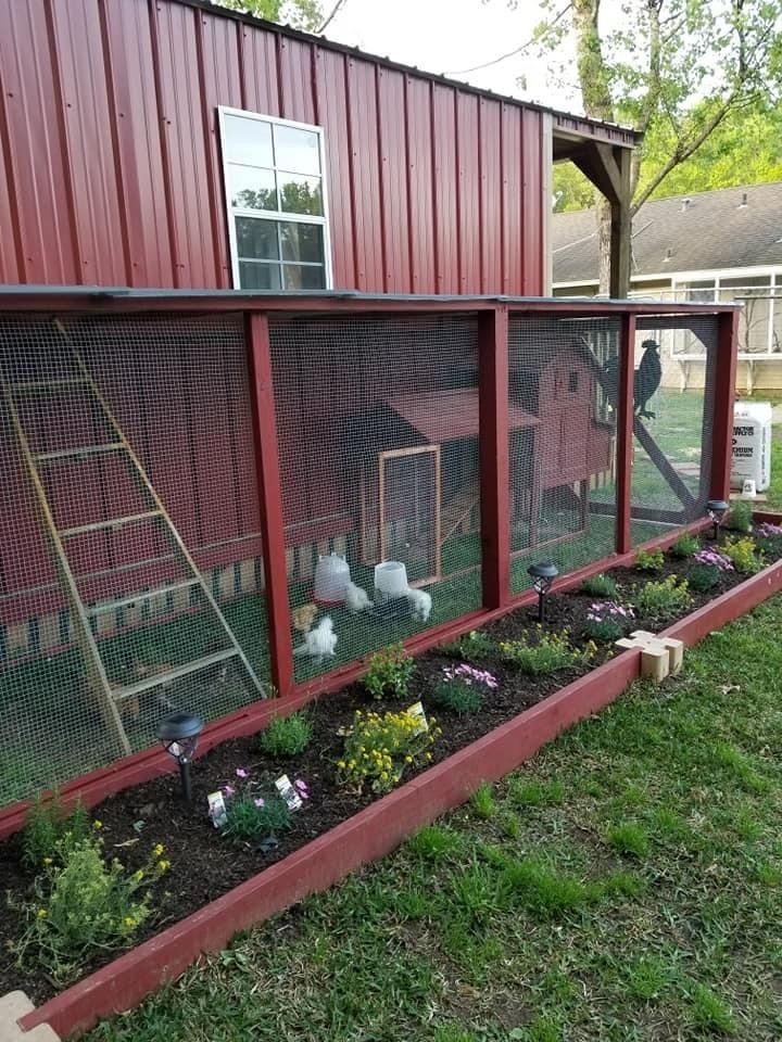 a red chicken coop with chickens in it