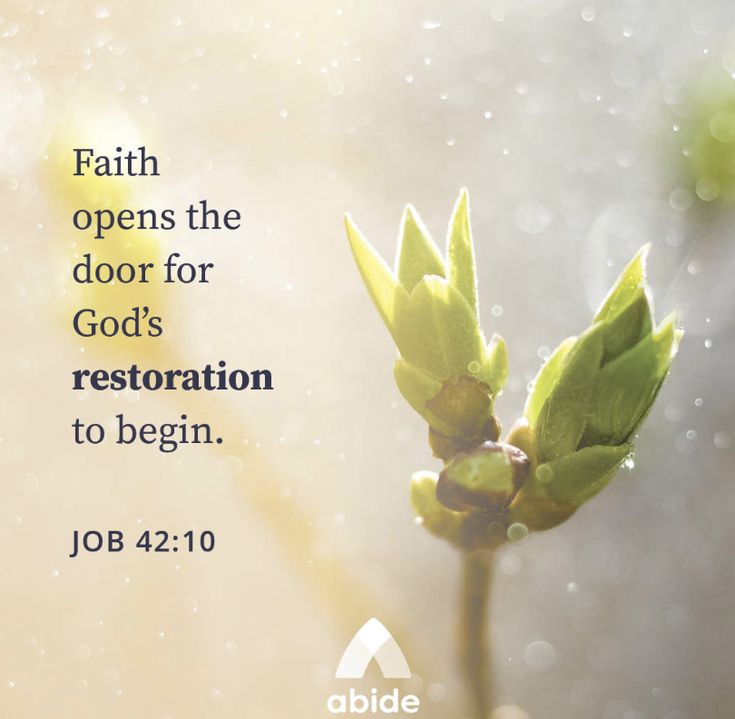 a close up of a plant with the words, faith opens the door for god's restoration to begin