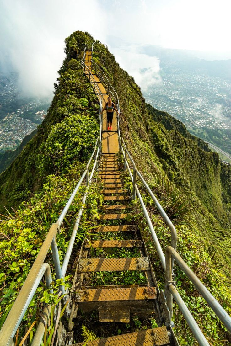 stairs leading up to the top of a mountain with greenery growing on each side