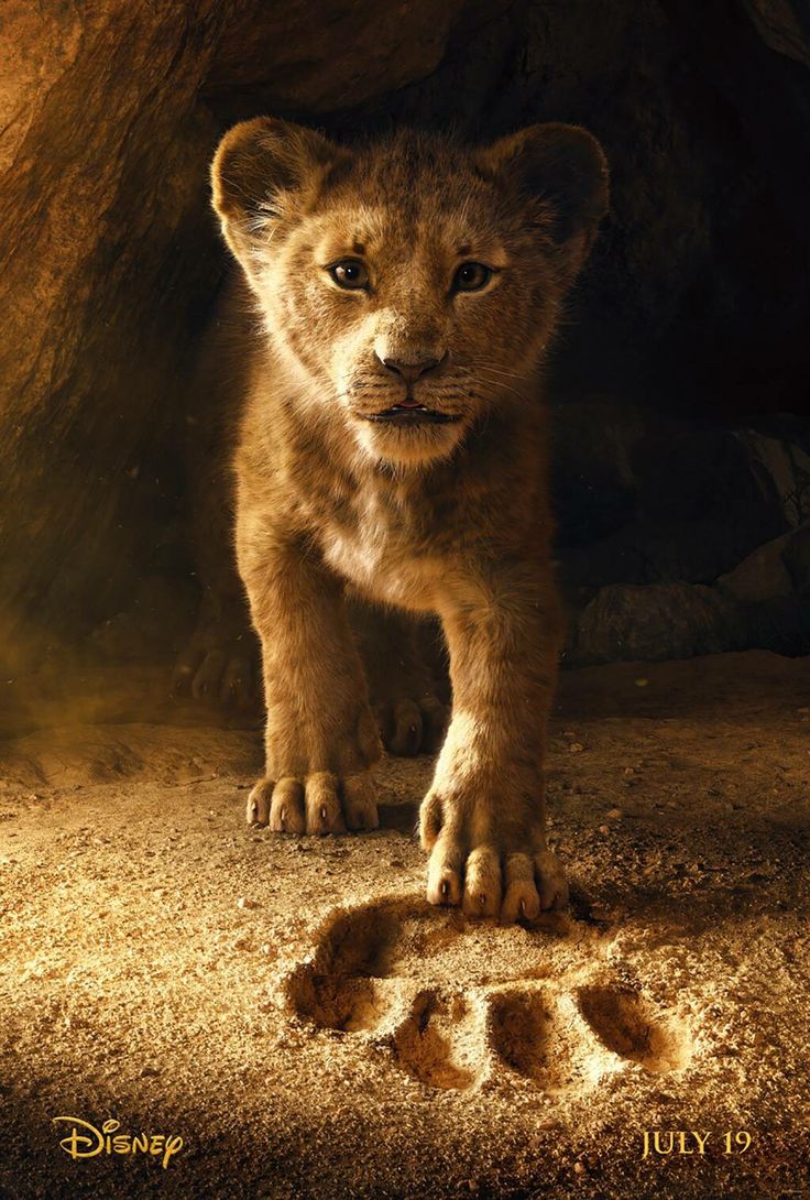 the lion cub is standing in front of an animal print that looks like it's looking