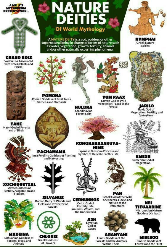 a poster with different types of plants and animals