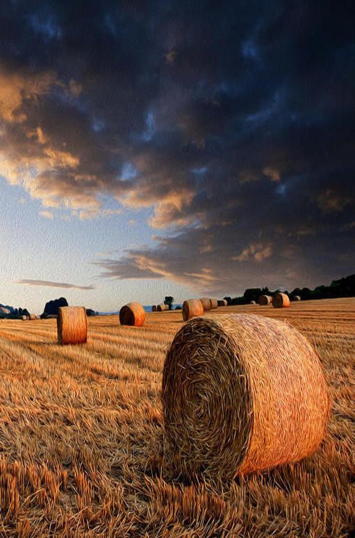 hay bales in a field under a cloudy sky at sunset with the sun shining on them