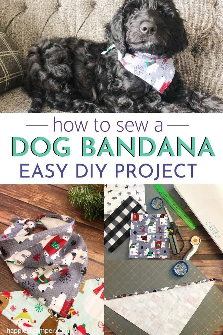 how to sew a dog bandana easy diy project with instructions and pictures