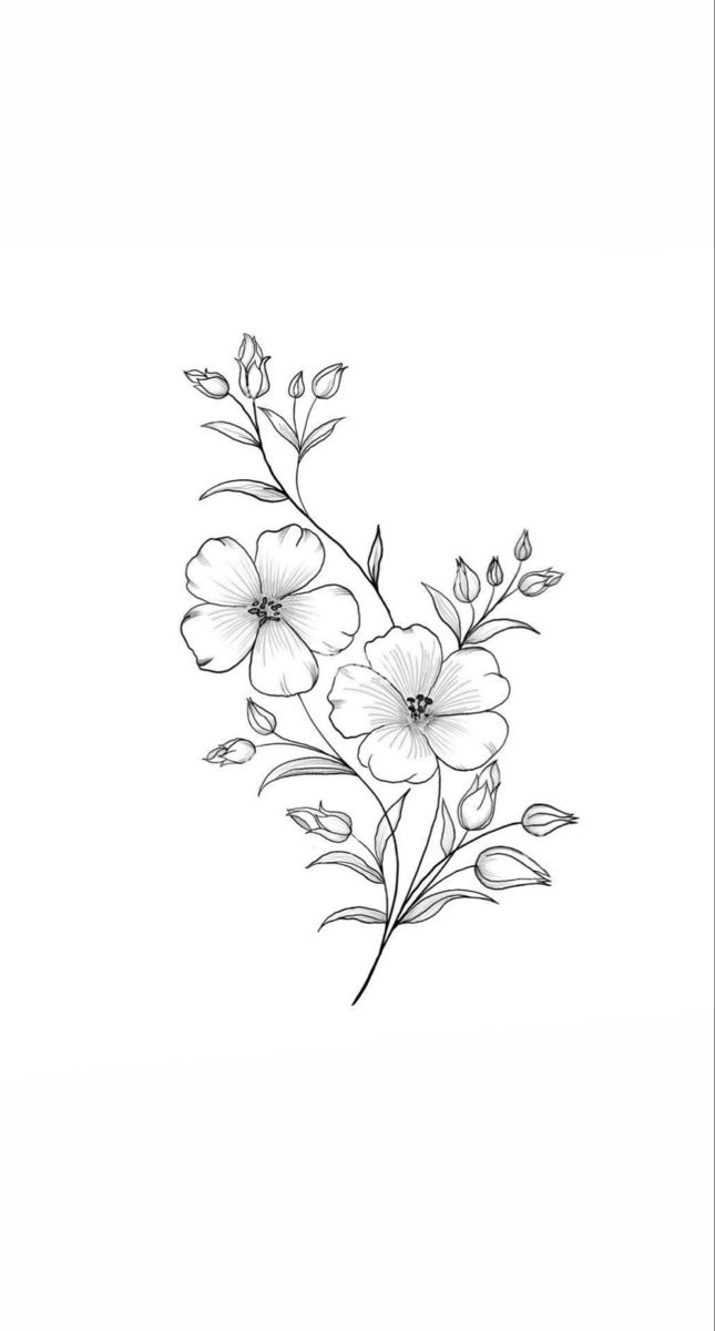 a black and white drawing of some flowers