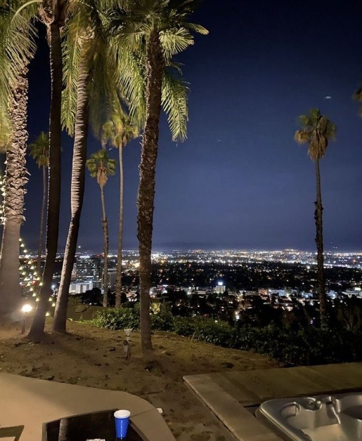 palm trees and hot tub at night with city lights in the background