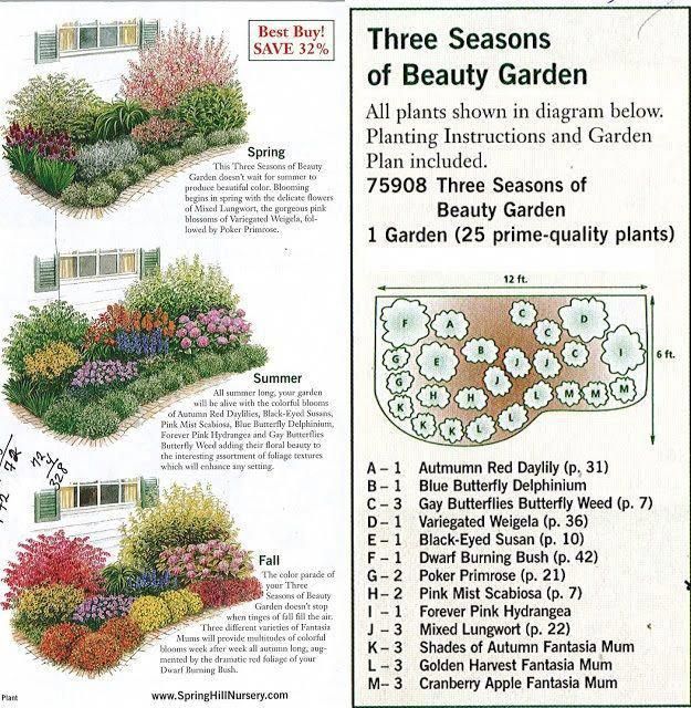 an advertisement for garden plants with instructions on how to plant them and what to use them