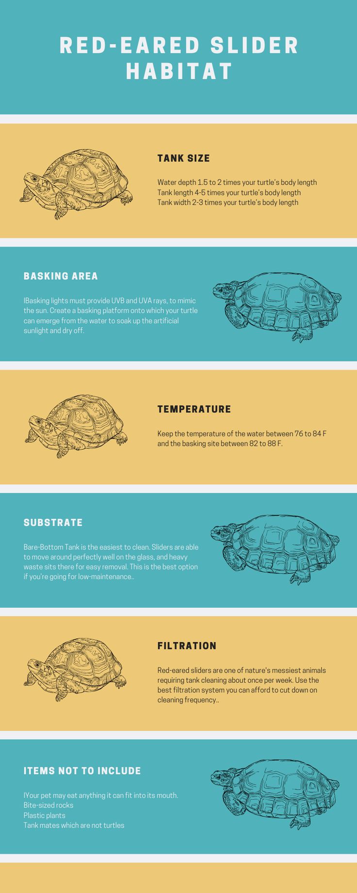 the different types of sea turtles and how they use them to swim in the water