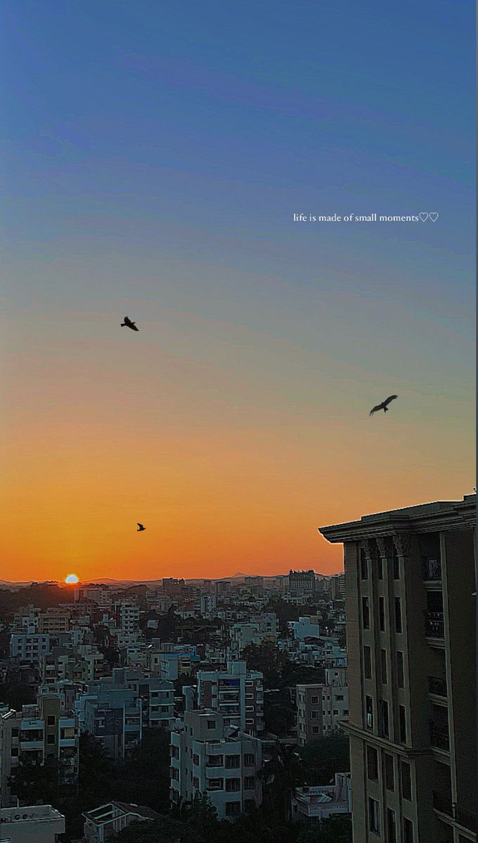 birds flying in the sky at sunset over a cityscape with tall buildings and skyscrapers