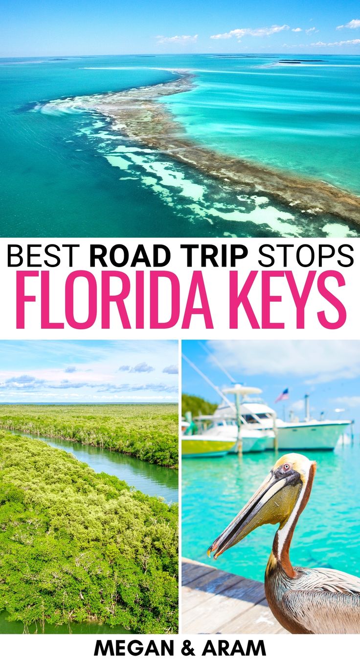 the best road trip stops in florida keys, with images of boats and water plants