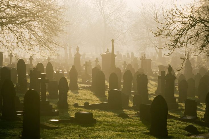 an old cemetery with many headstones and trees in the background on a foggy day