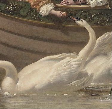 two white swans swimming in the water with people sitting on a boat behind them and looking at each other