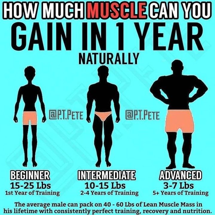 an image of how much muscle can you gain in 1 year naturally infosign