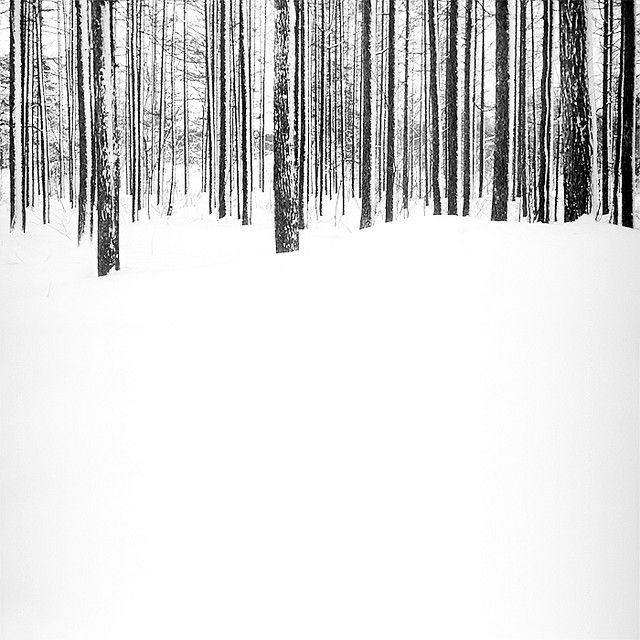 a black and white photo of trees in the snow with one person on skis