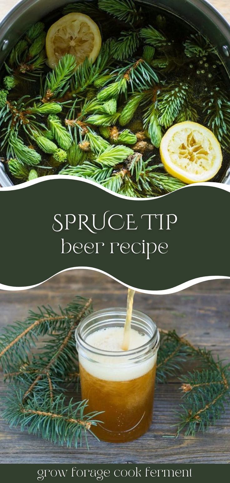 spruce tip beer recipe in a pot with pine branches and lemon slices