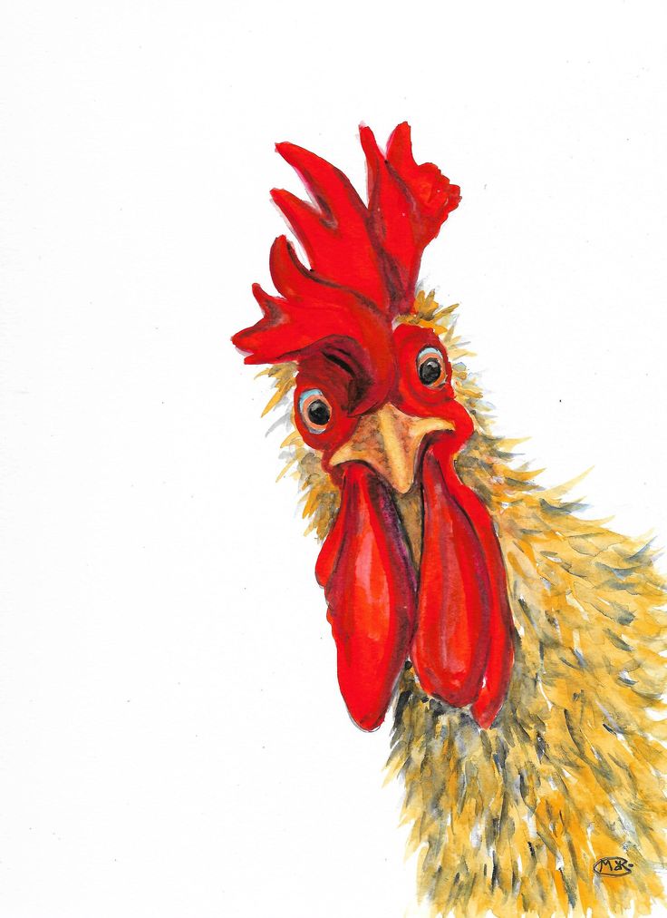 a drawing of a rooster with red and yellow combs on it's head