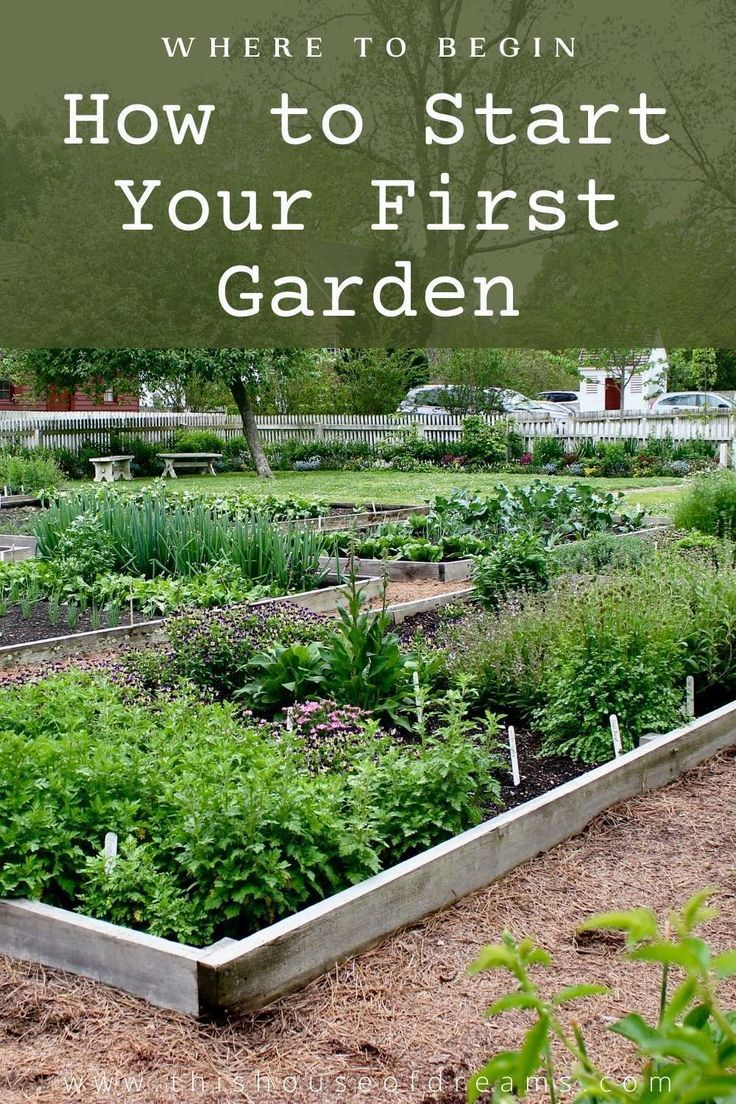 a garden with the words where to begin how to start your first garden on it